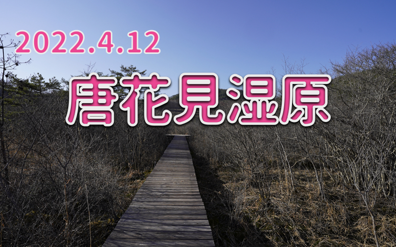 2022.4.12 唐花見湿原-寒さの残る夕方-
