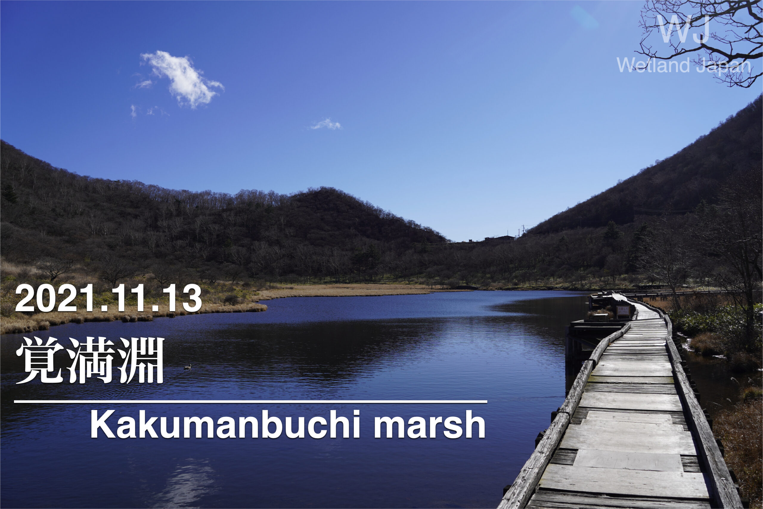 2021.11.13覚満淵-赤城山の美しい湿原-
