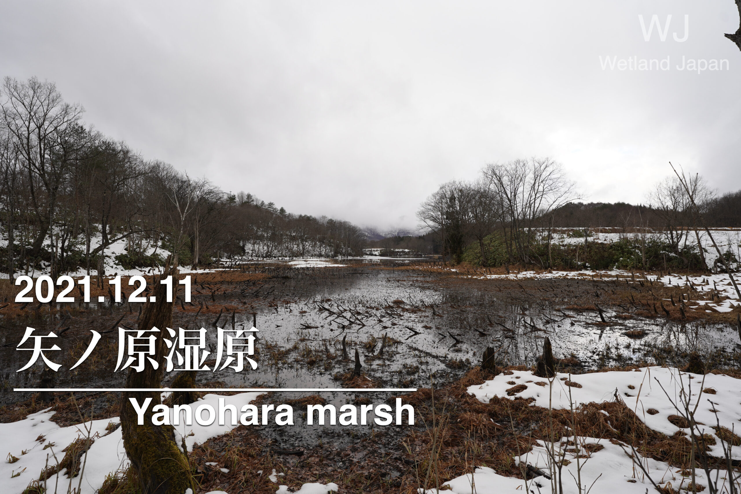 2021.12.11 矢ノ原湿原-静かな冬の湿原-