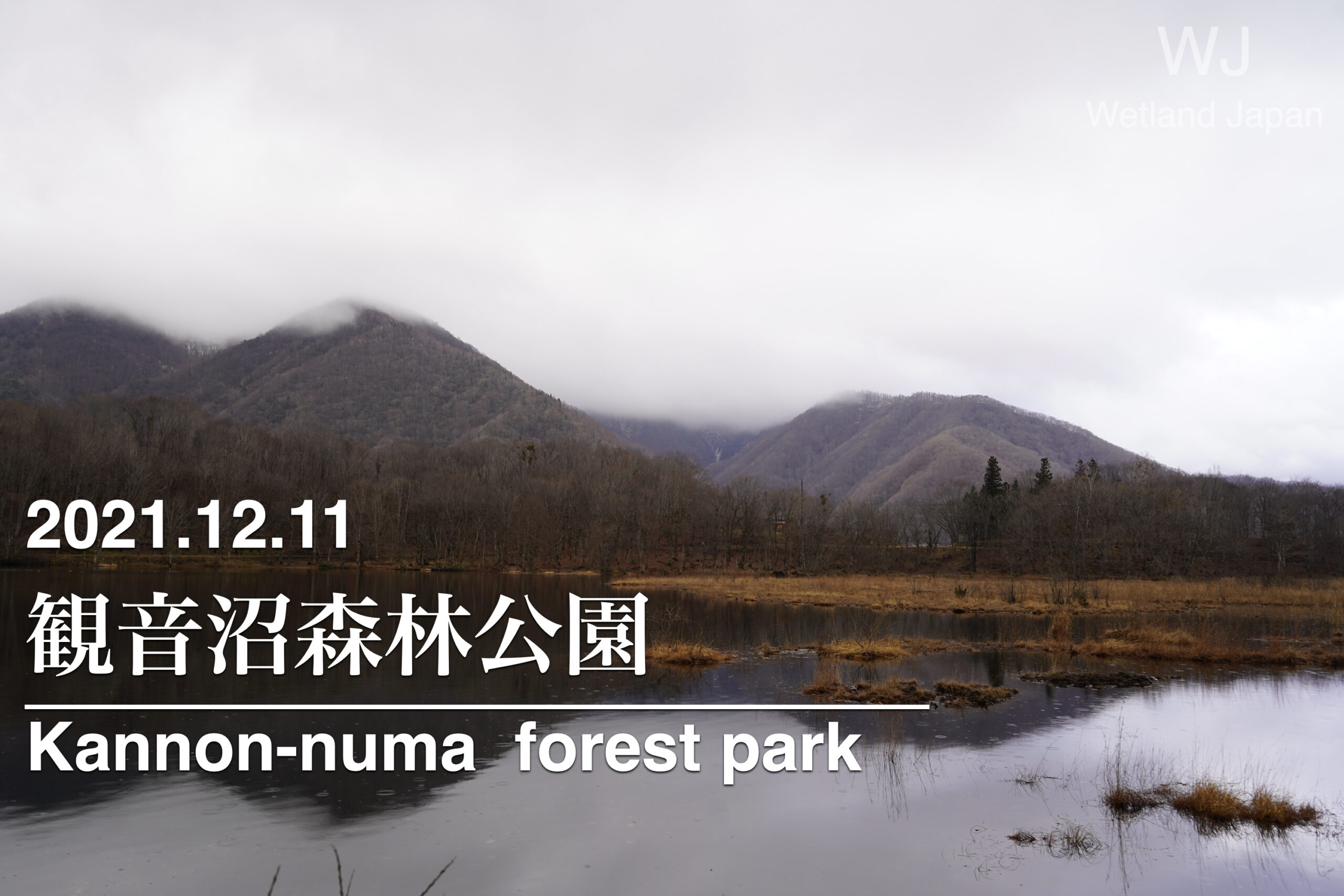 2021.12.11 観音沼探索-降雪前の冬景色-