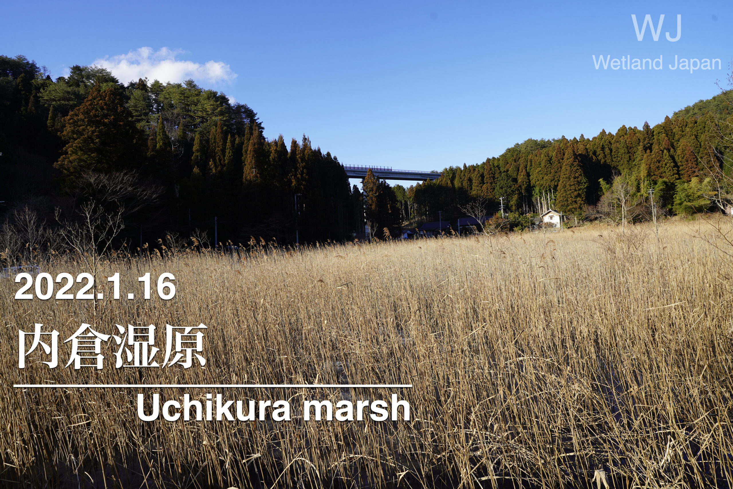 2022.1.16 内倉湿原-いわき市指定の天然記念物-