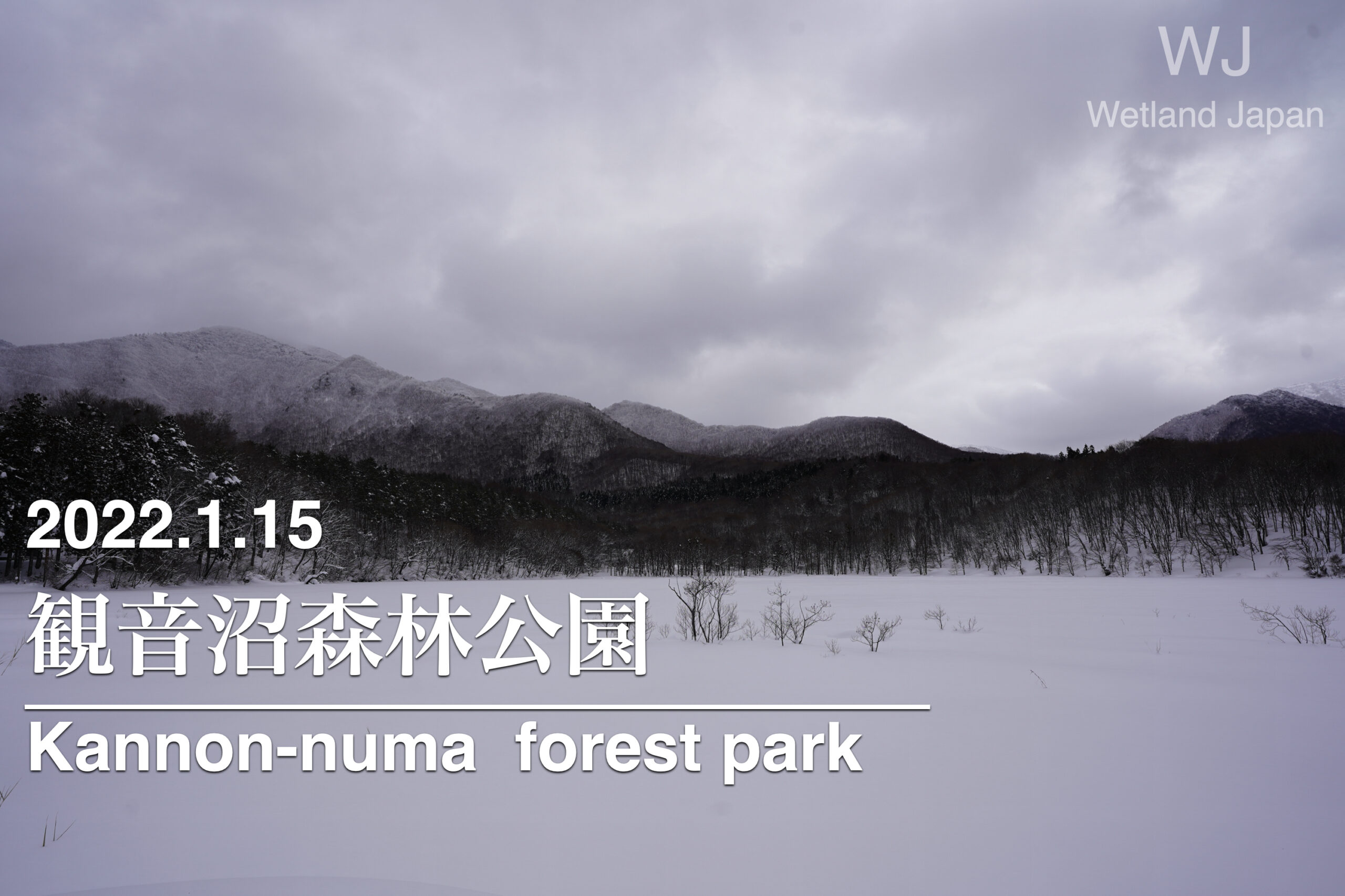 2022.1.15 観音沼自然公園-豪雪の沼地-