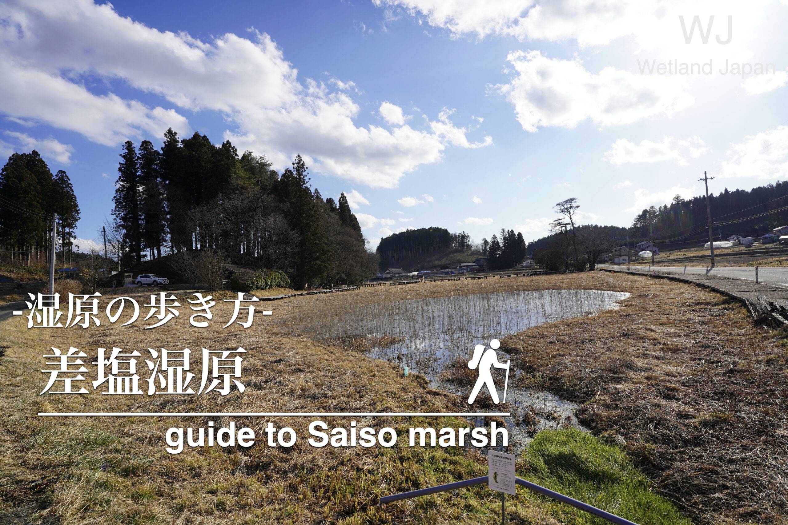 差塩湿原に行ってみよう!