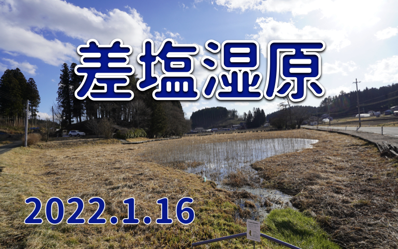 2022.1.16 差塩湿原再び！