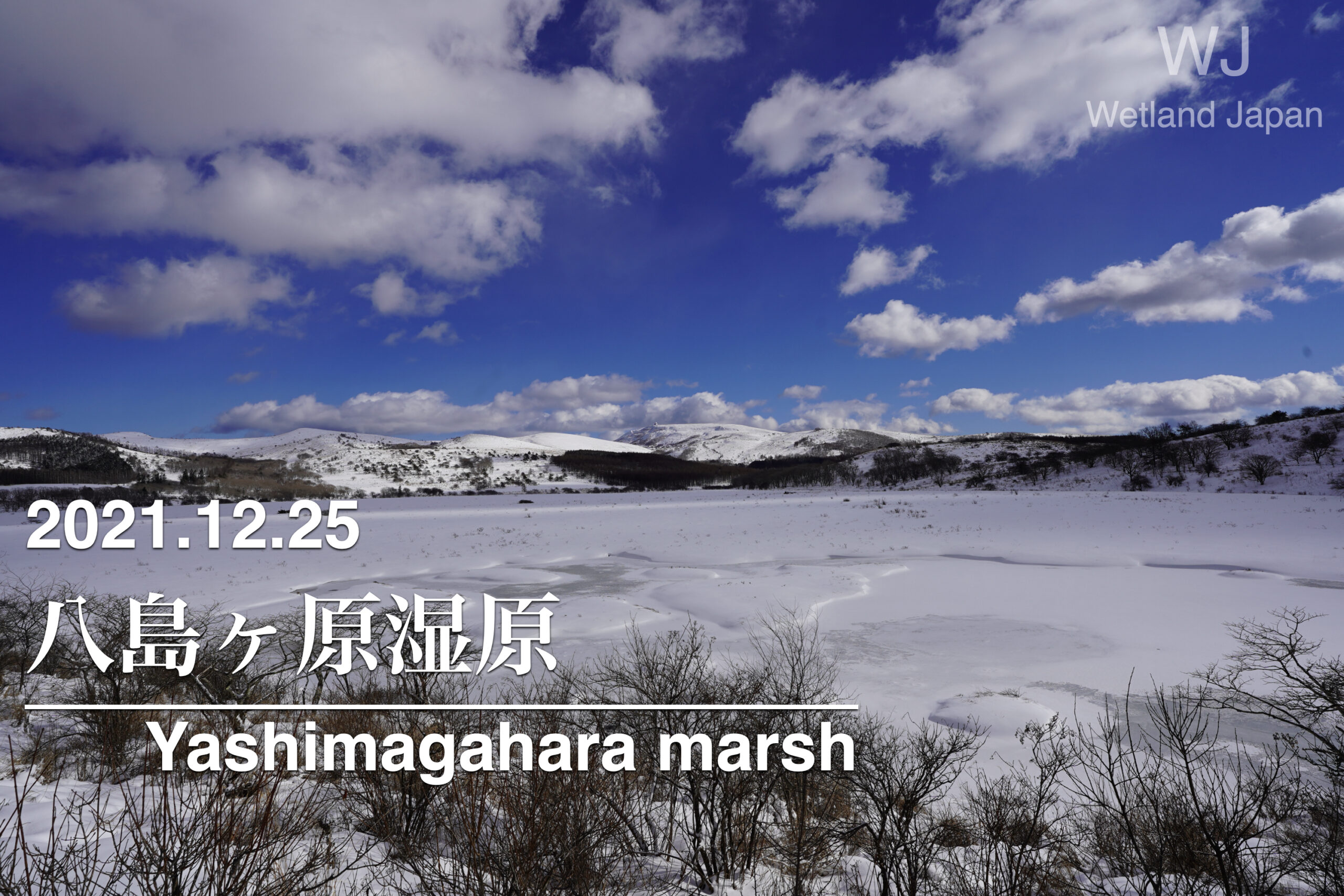 2021.12.25 八島ヶ原湿原-寒さが沁みる冬の湿原-