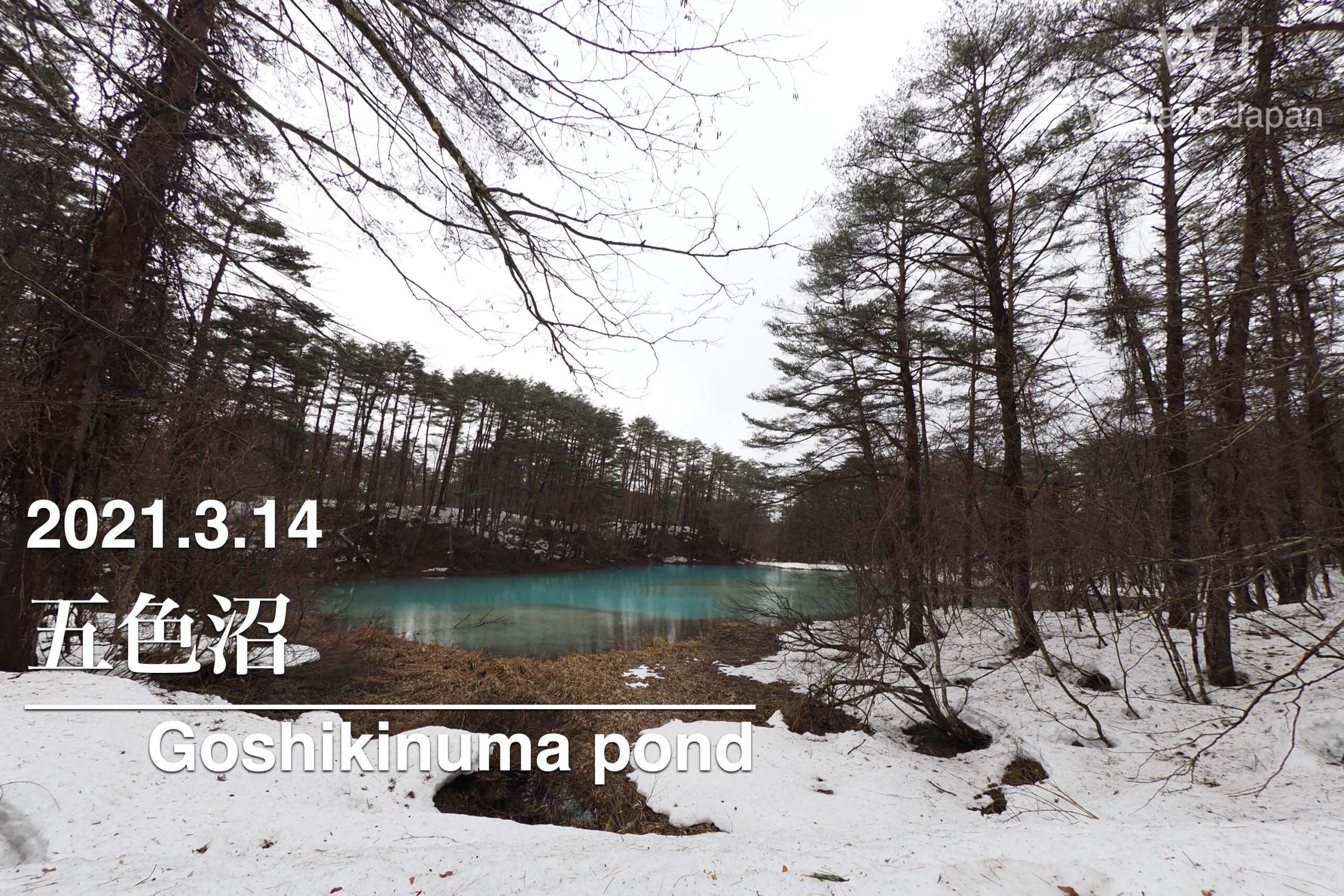 2021.3.14 五色沼-雪の中の五色沼-