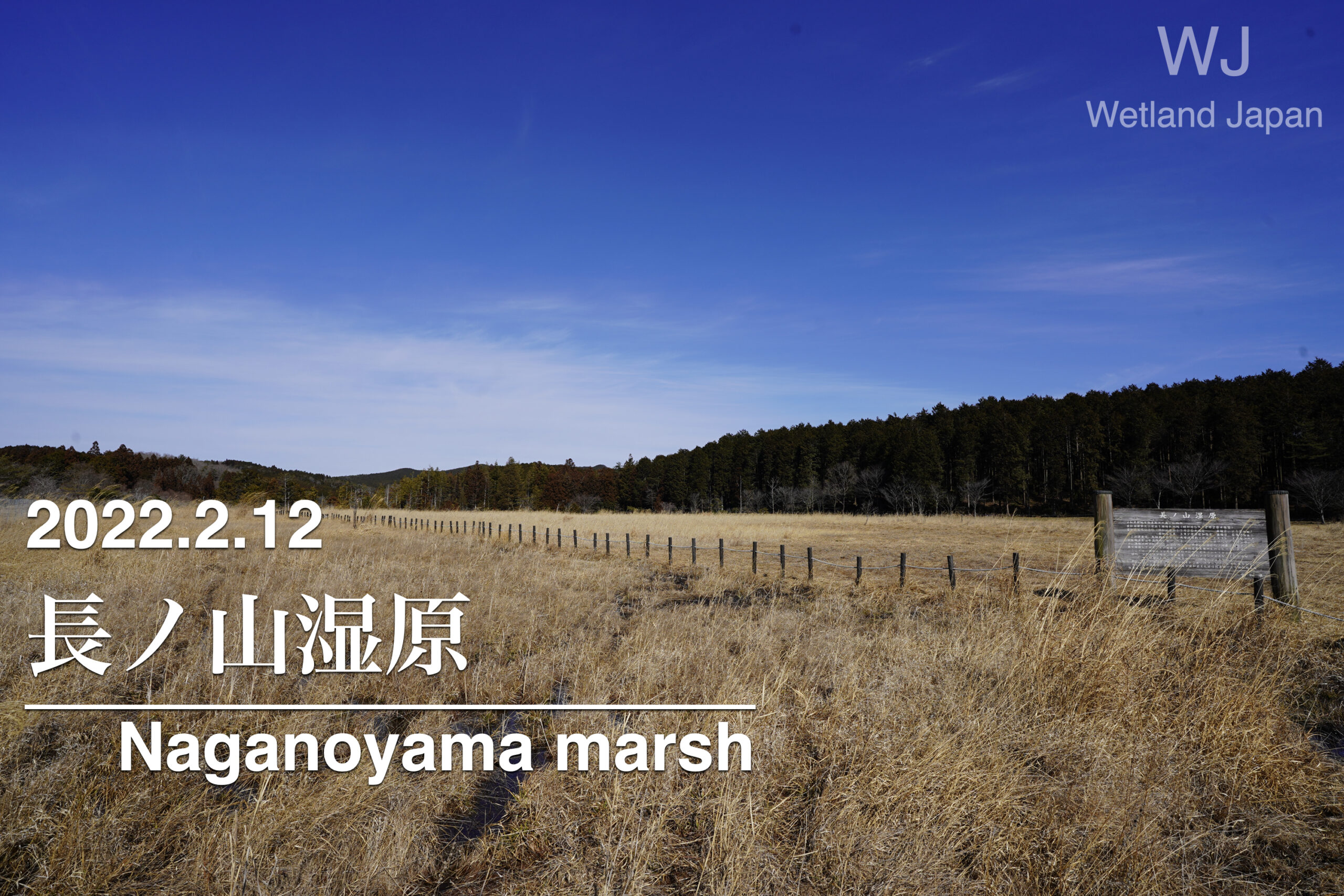 2022.2.12 長ノ山湿原-東海最大の湿原-