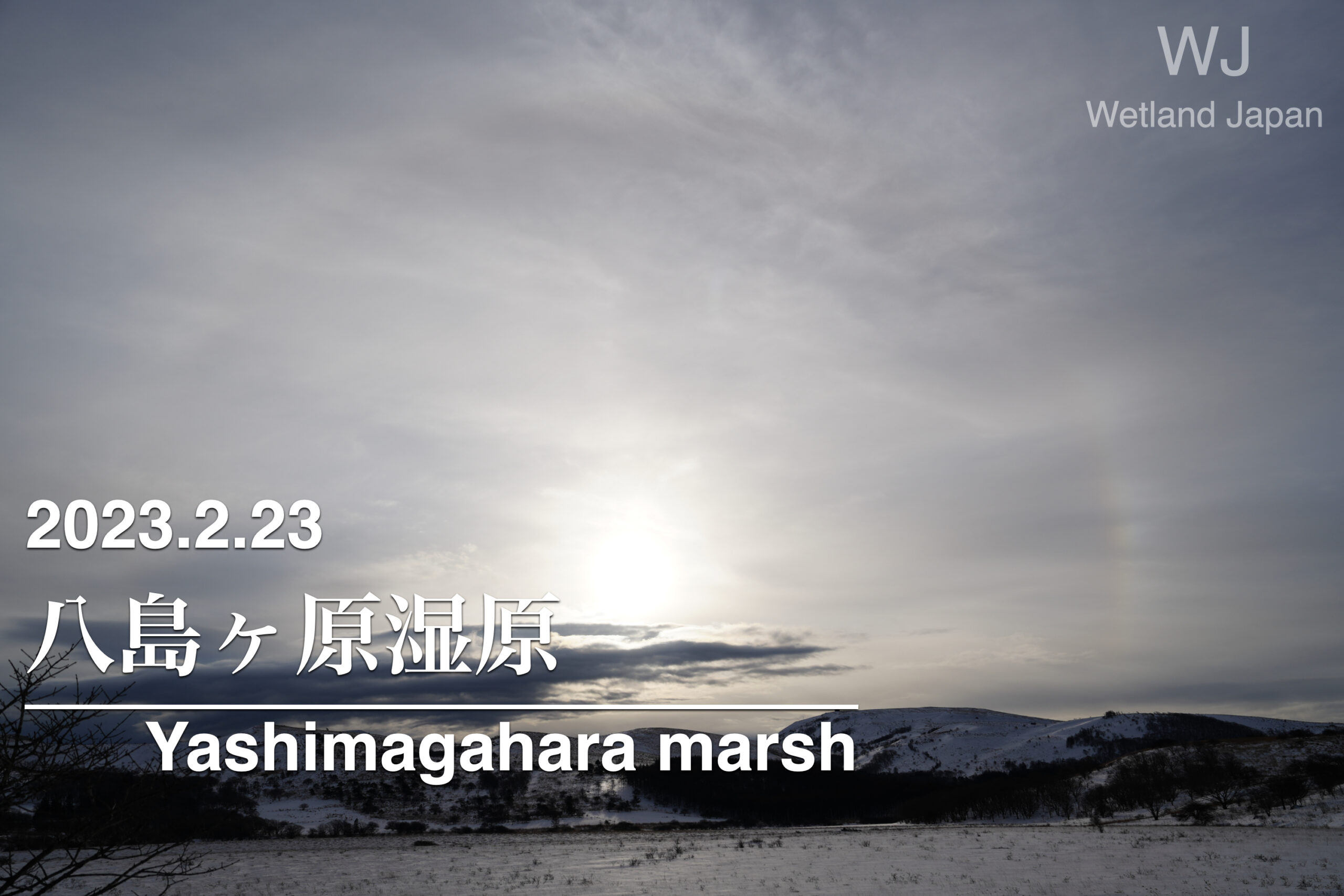 2023.2.23 八島ヶ原湿原-早朝の日暈-