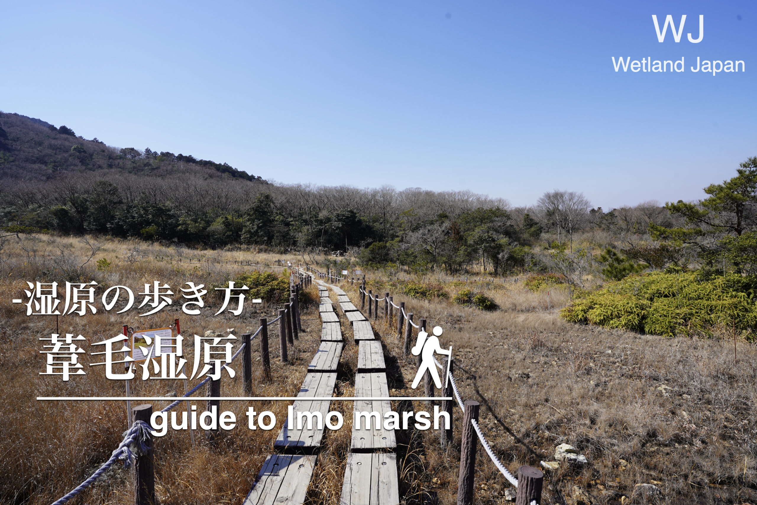 葦毛湿原に行ってみよう！