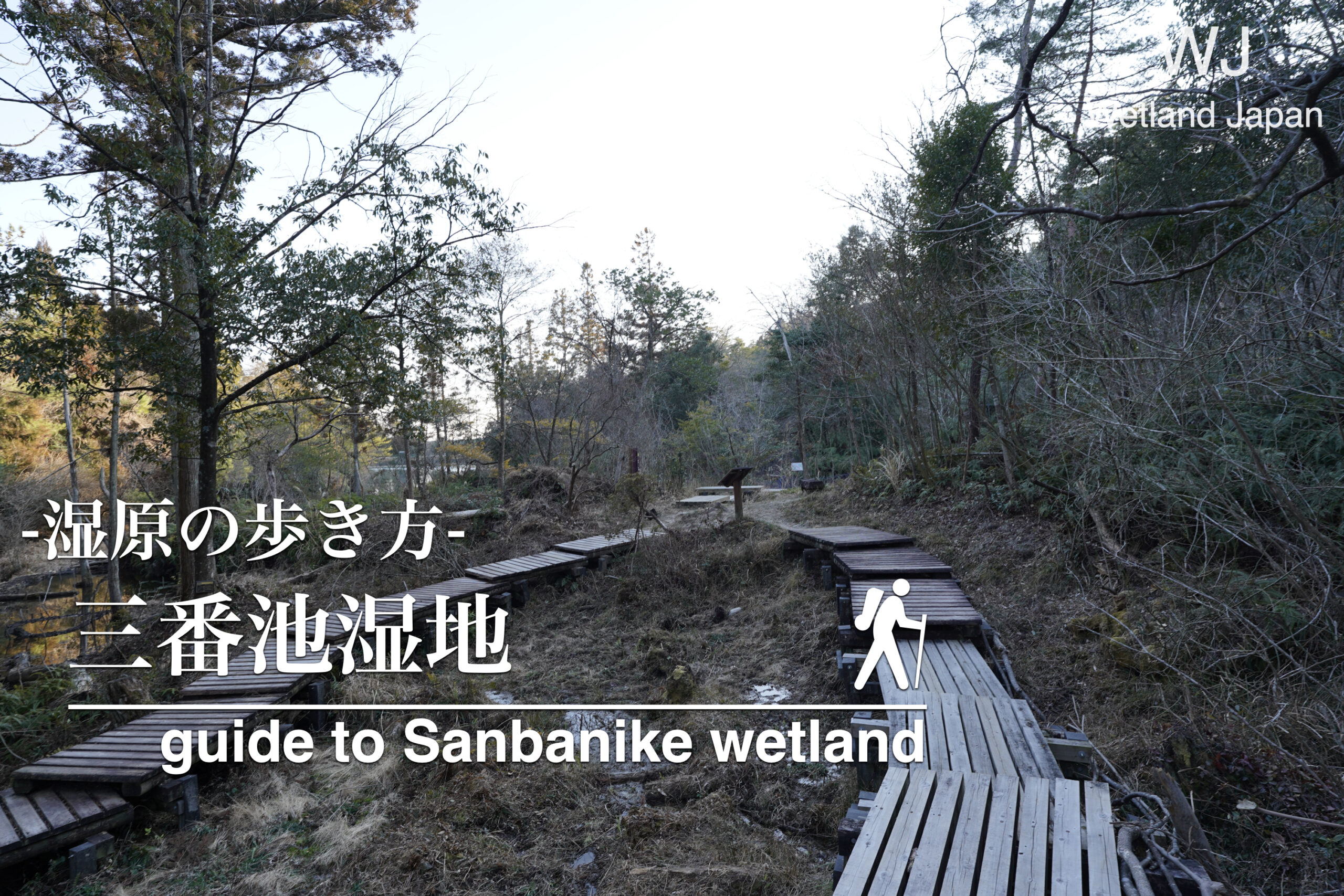 三番池湿地に行ってみよう！