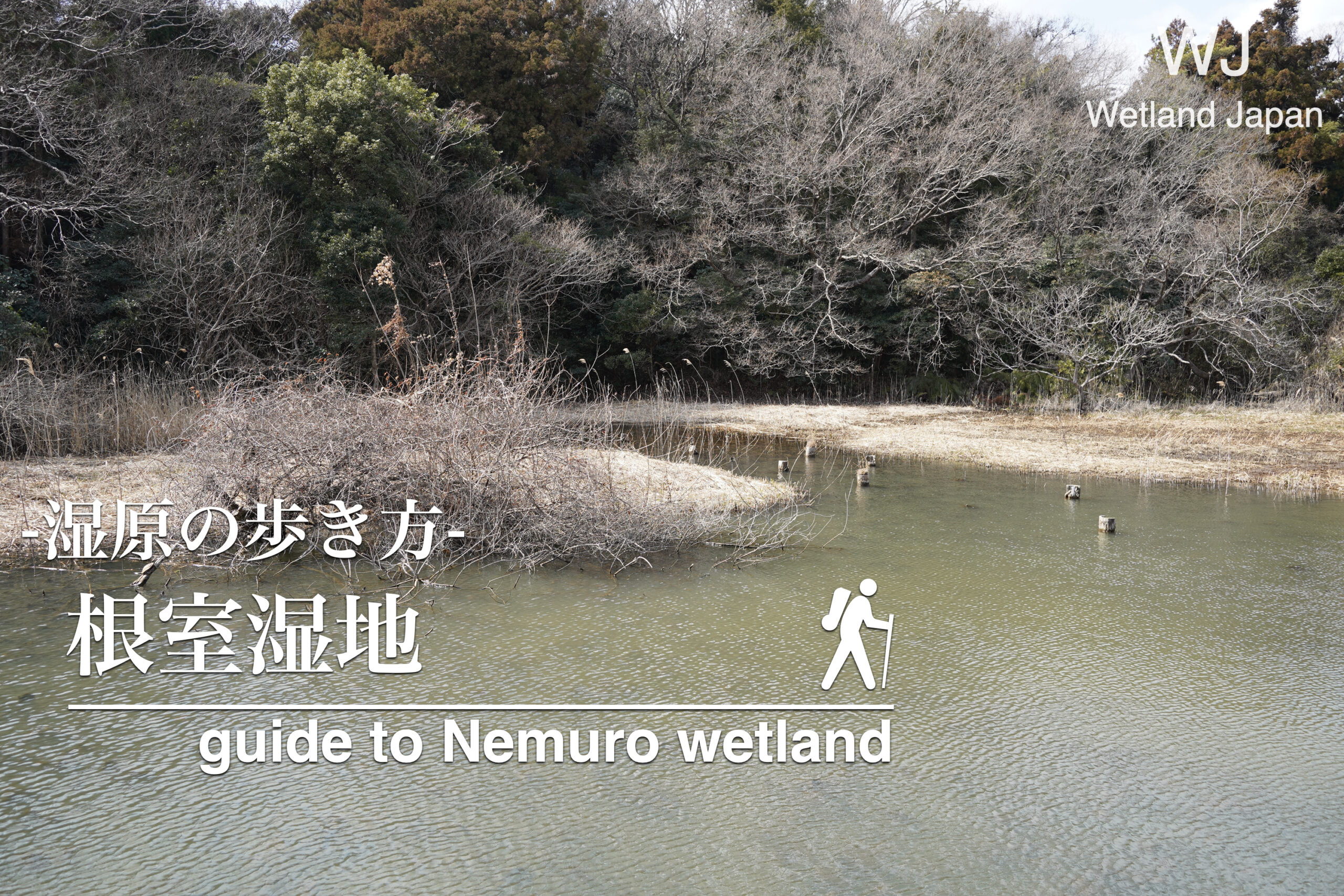 根川湿地に行ってみよう!