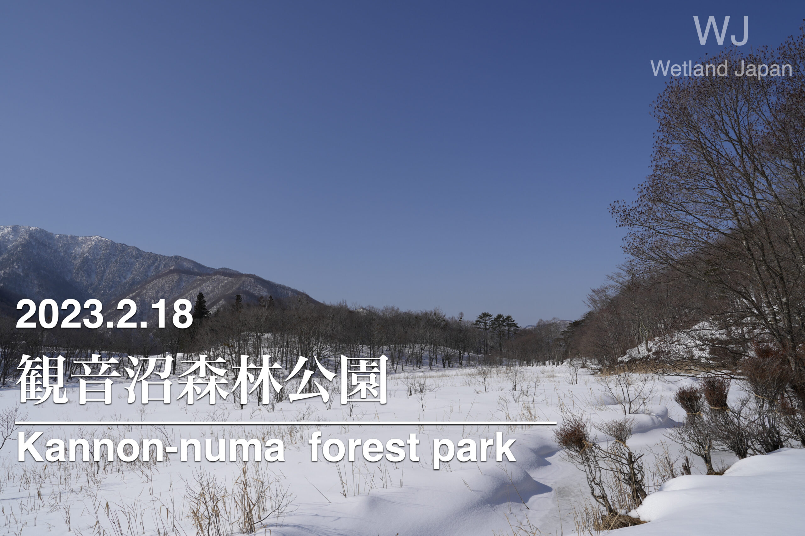 2023.2.18 観音沼自然公園-足跡がいっぱいの雪原-