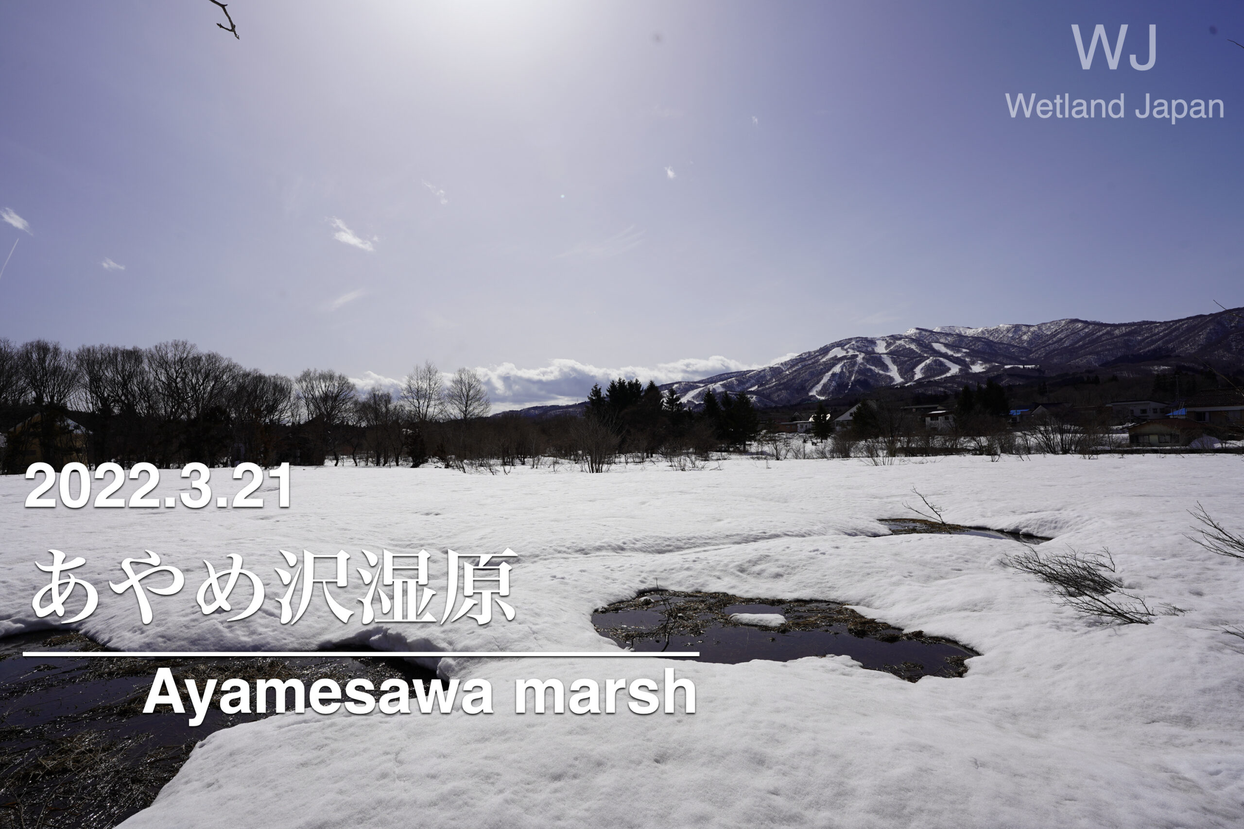 2022.3.21あやめ沢湿原 雪上の探索