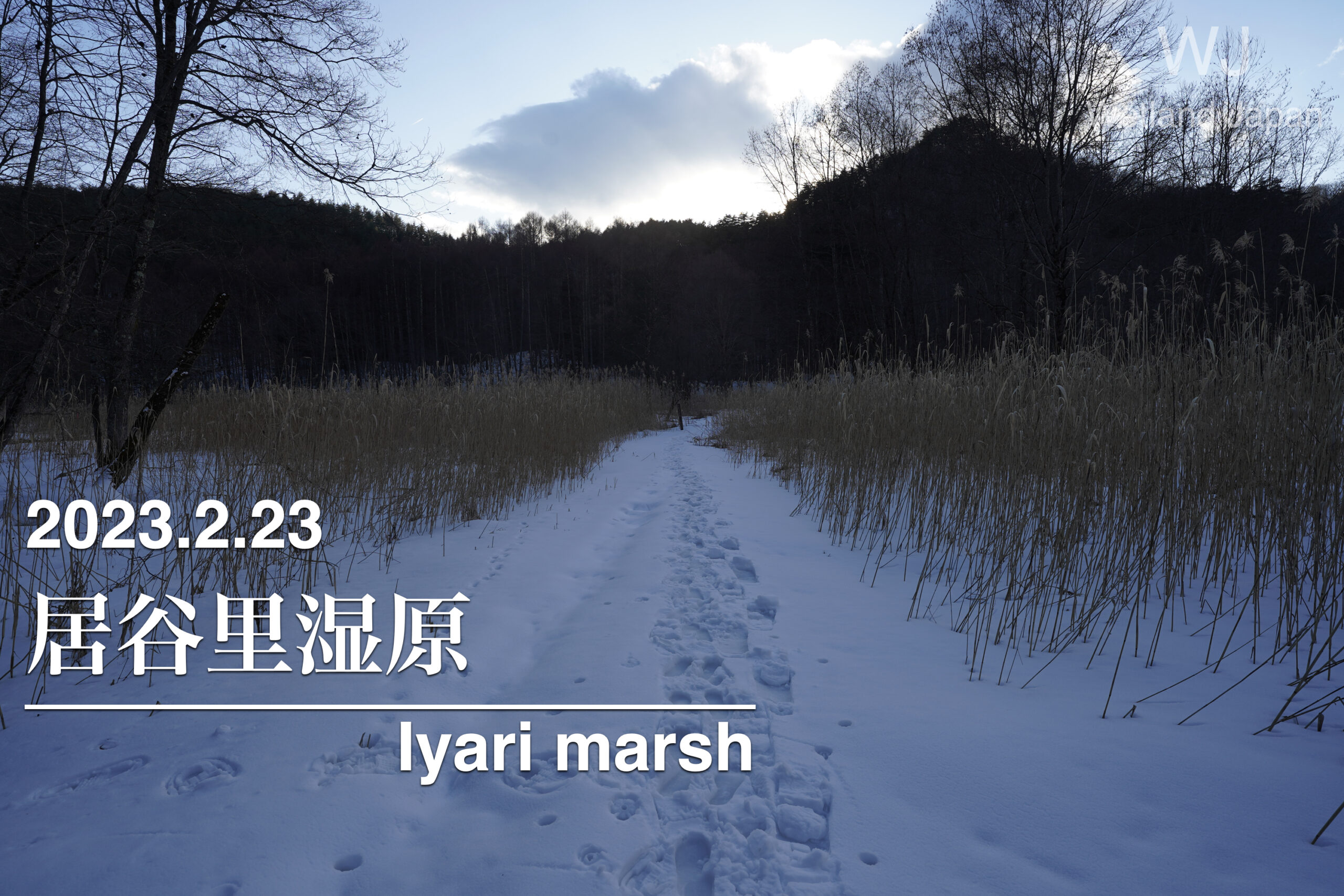 2023.2.23 居谷里湿原-夕暮れの雪原-