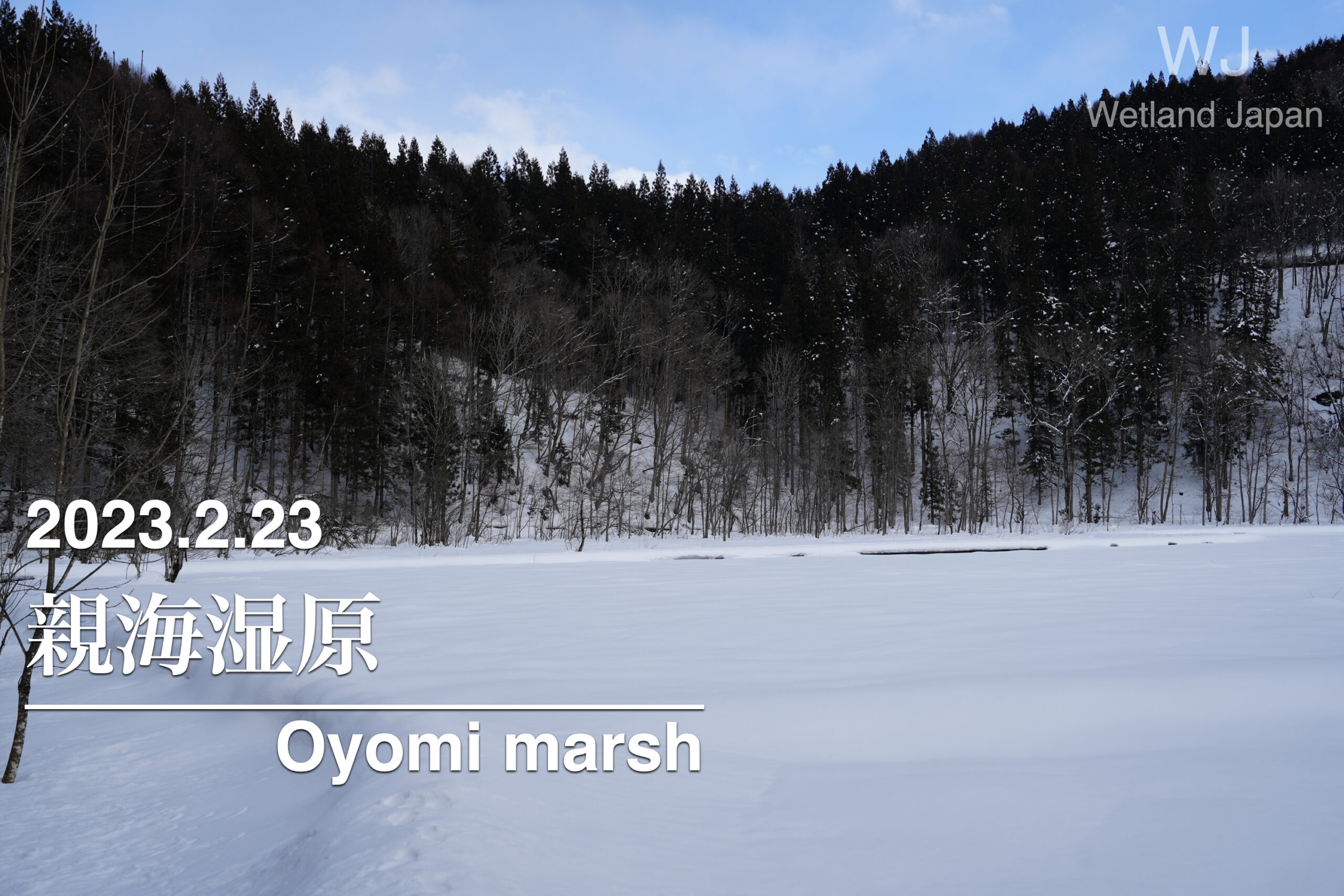 2023.2.23 親海湿原-春を待つ雪原-