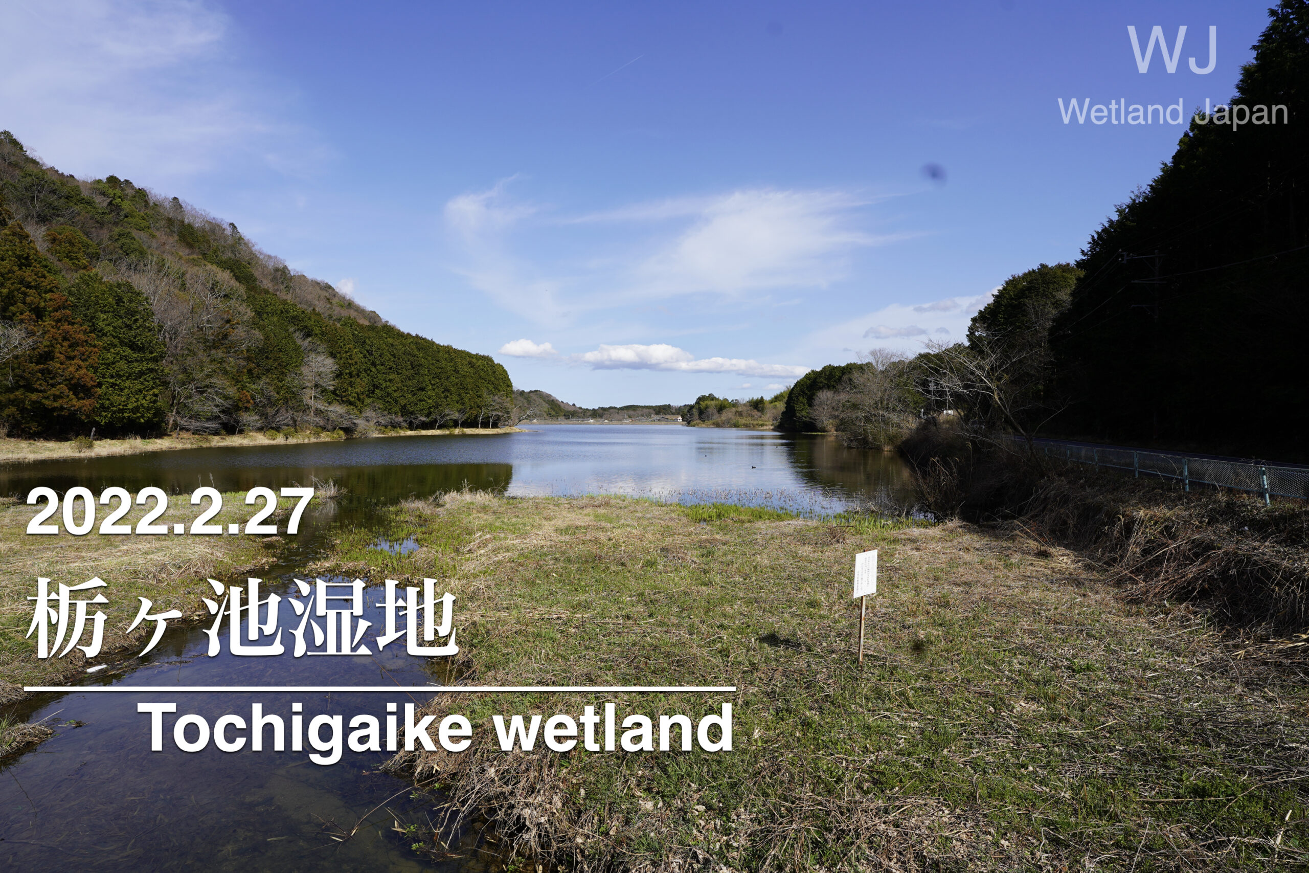 2022.3.20 杤ヶ池湿地植物群落 探索