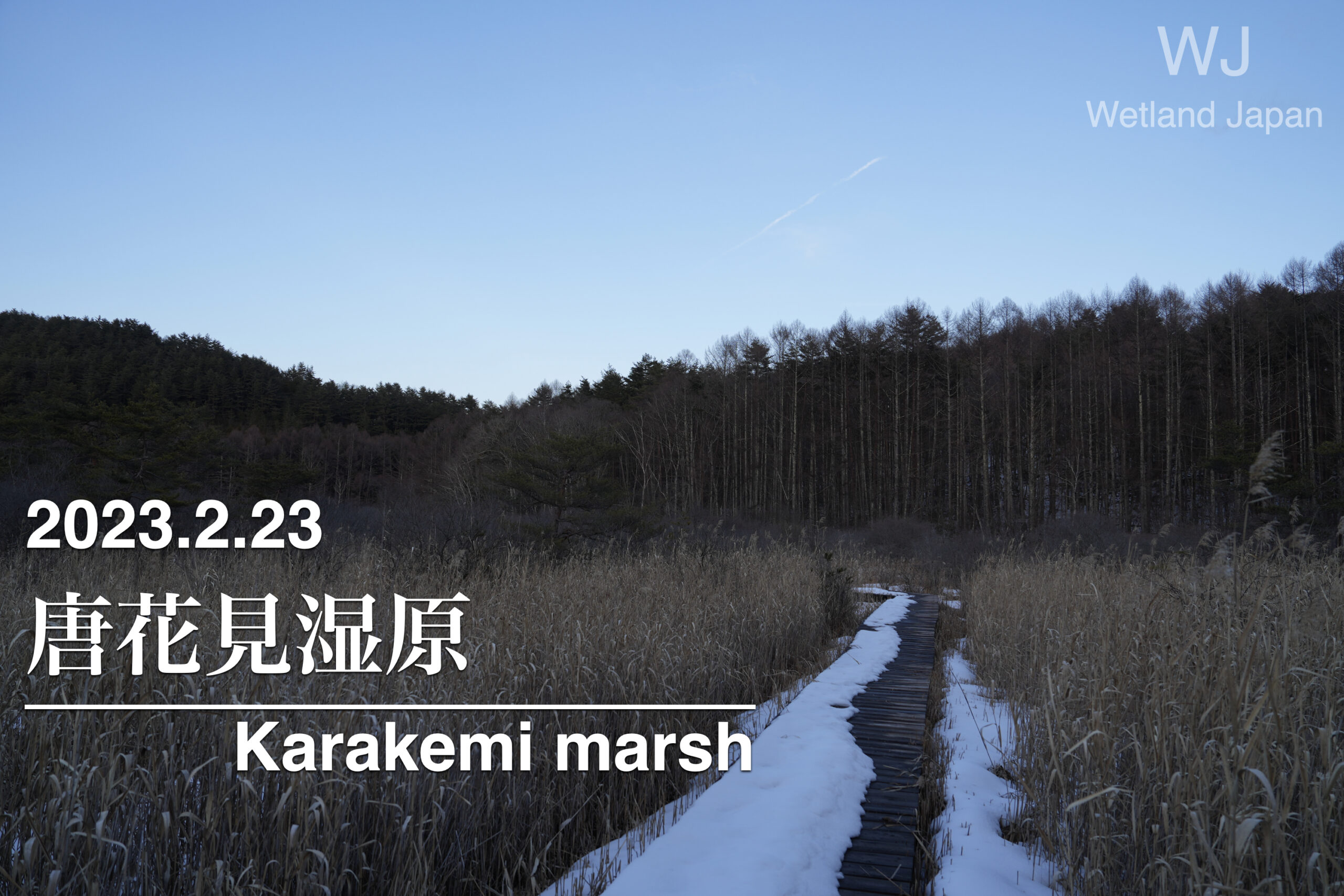 2023.2.23 唐花見湿原-痕跡残る湿原-