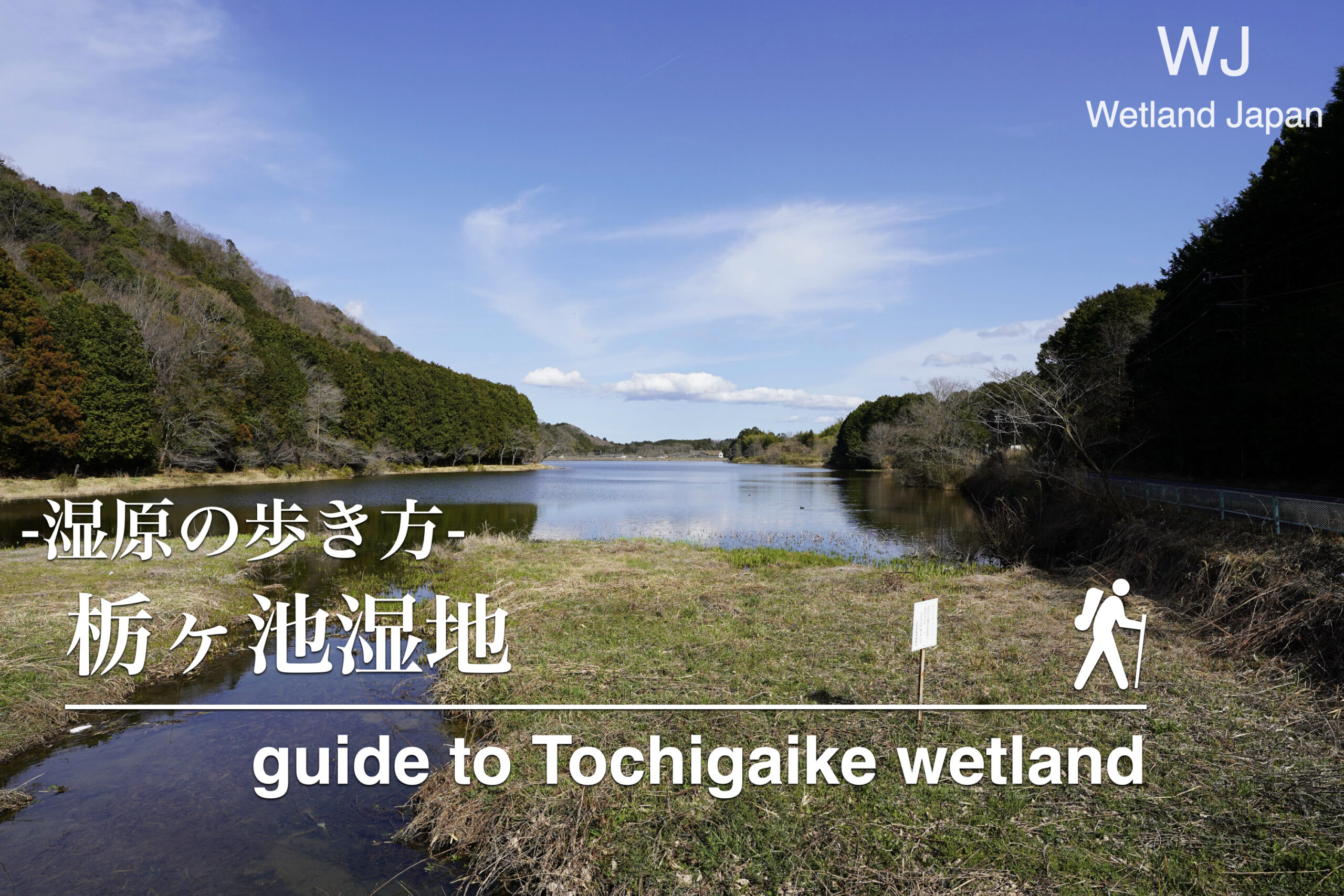 杤ヶ池湿地植物群落に行ってみよう!