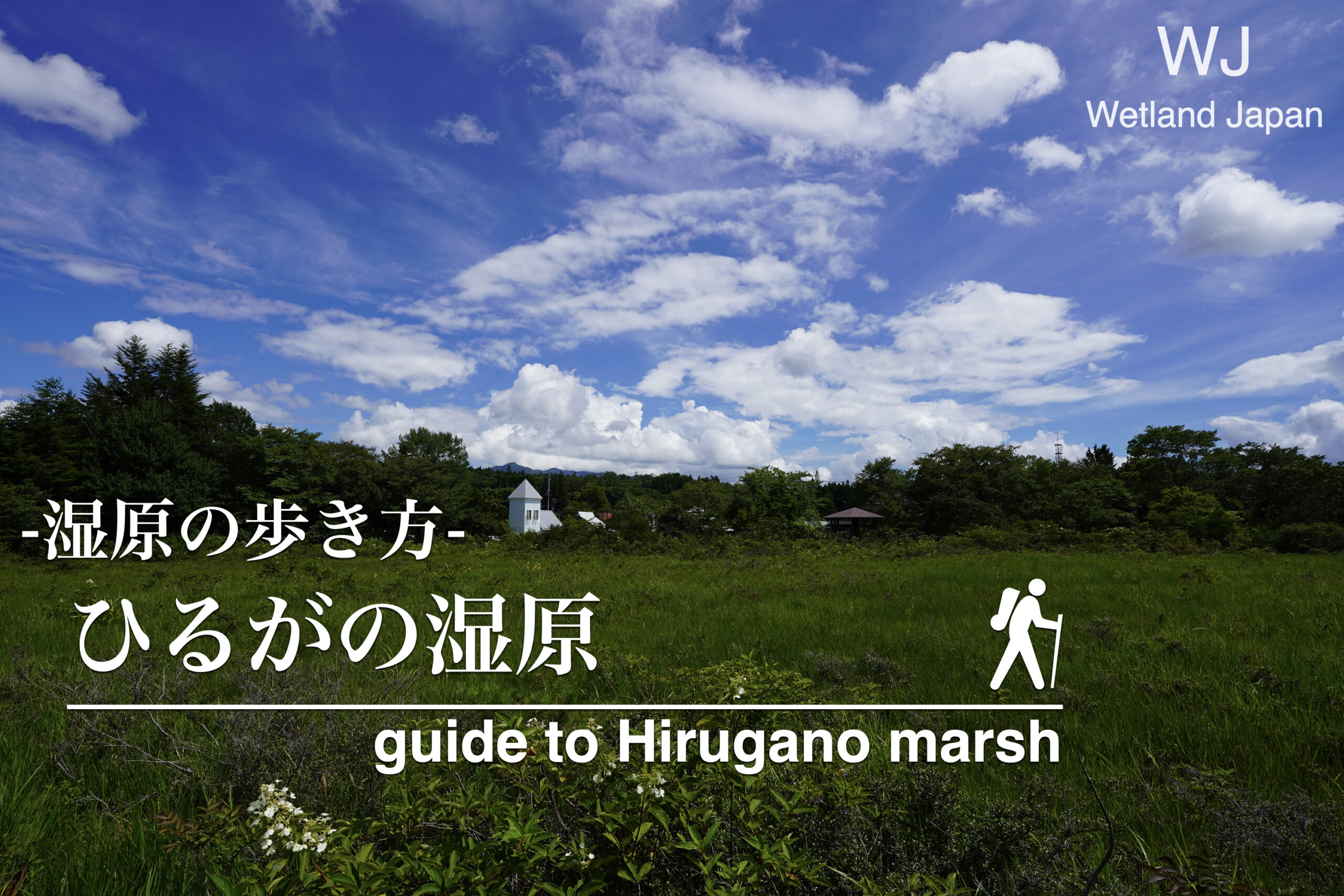 ひるがの湿原植物群落に行ってみよう！