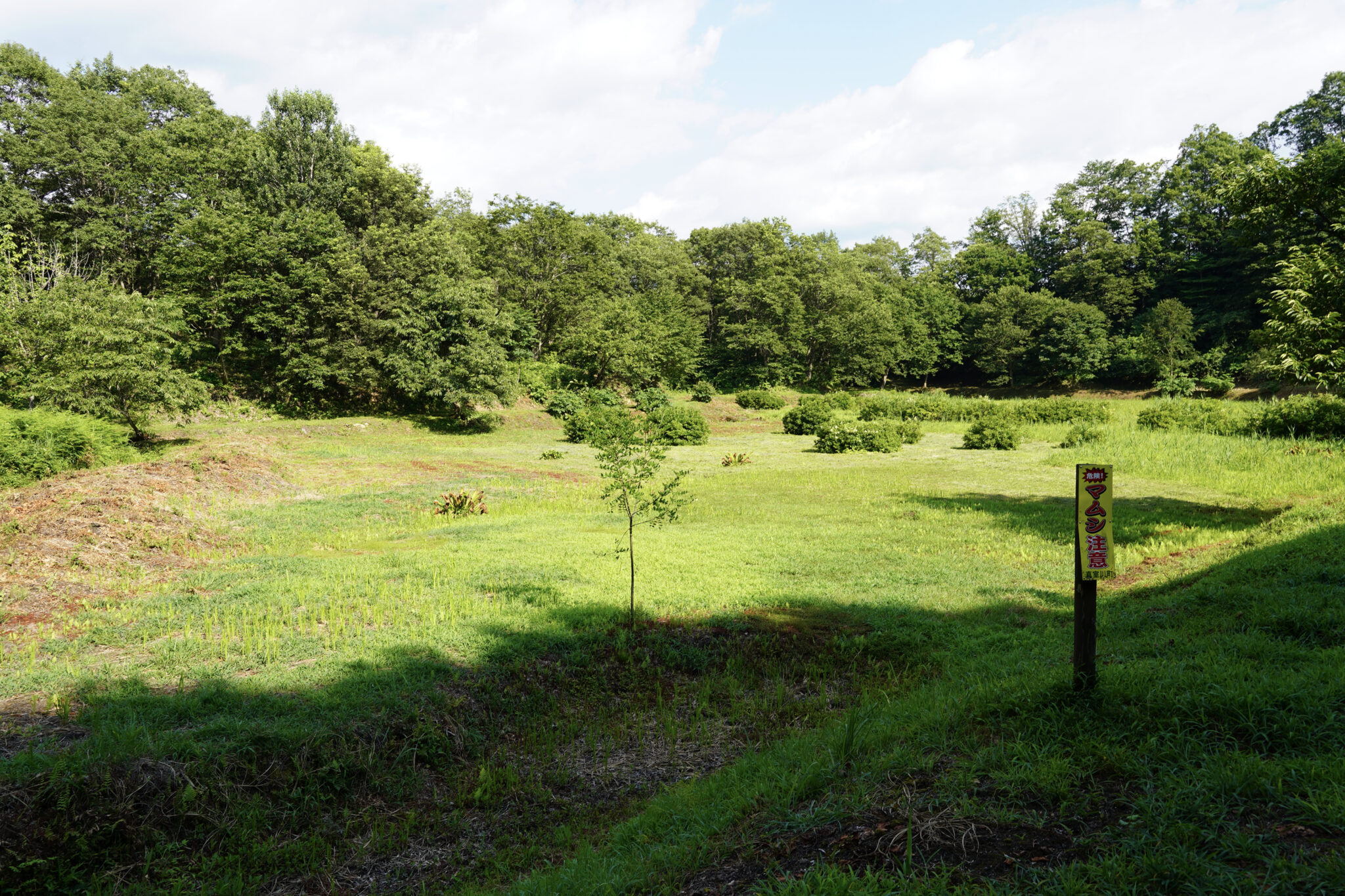 中村湿原に行ってみよう！