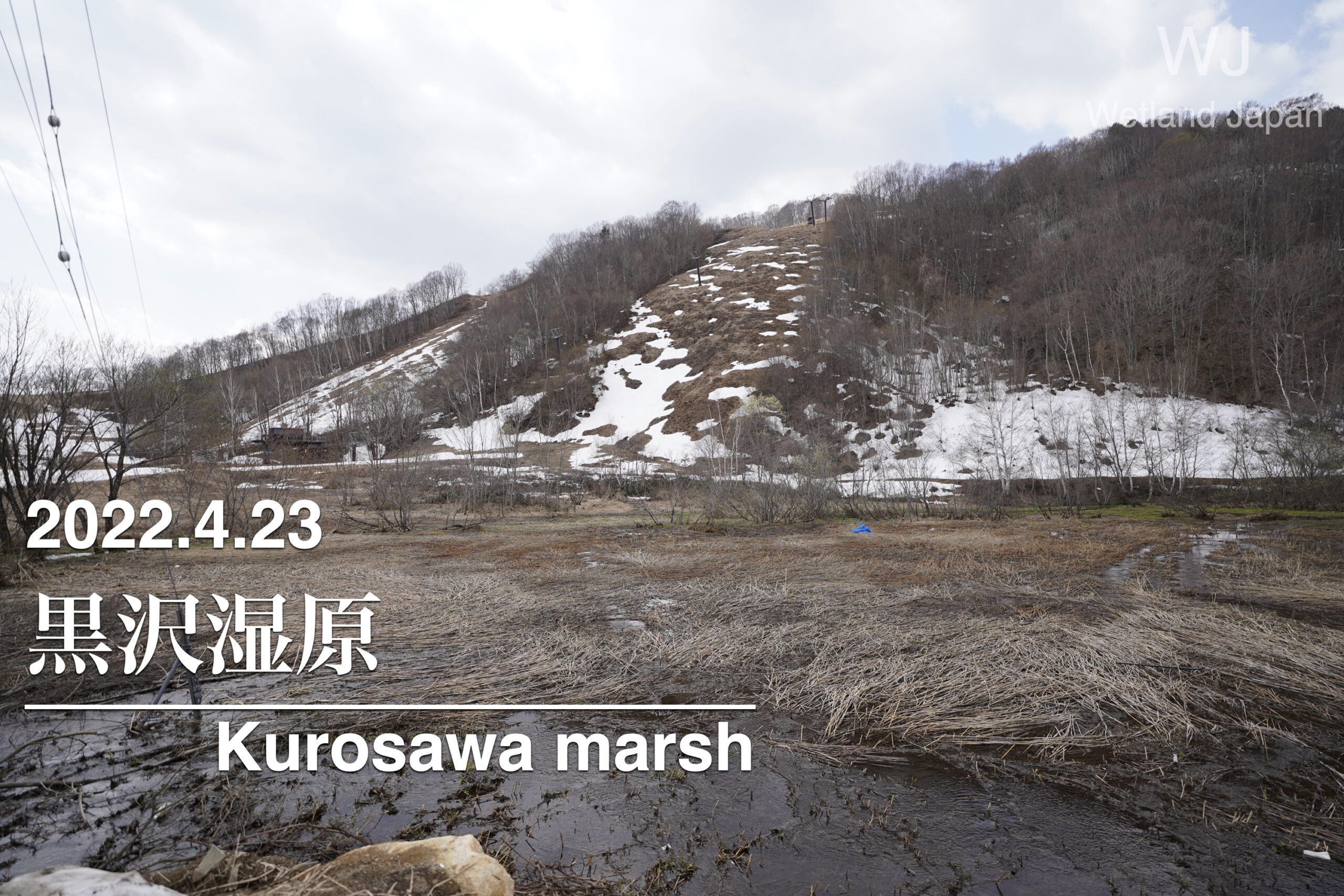 2022.4.23 黒沢湿原-スキー場跡の湿原-