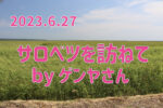 2023.6.27 ゲンヤさんのサロベツ湿原探索記-サロベツ湿原を訪ねて-