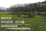 2022.4.23 中山高原 幻の池-春に現れる神秘的な池-