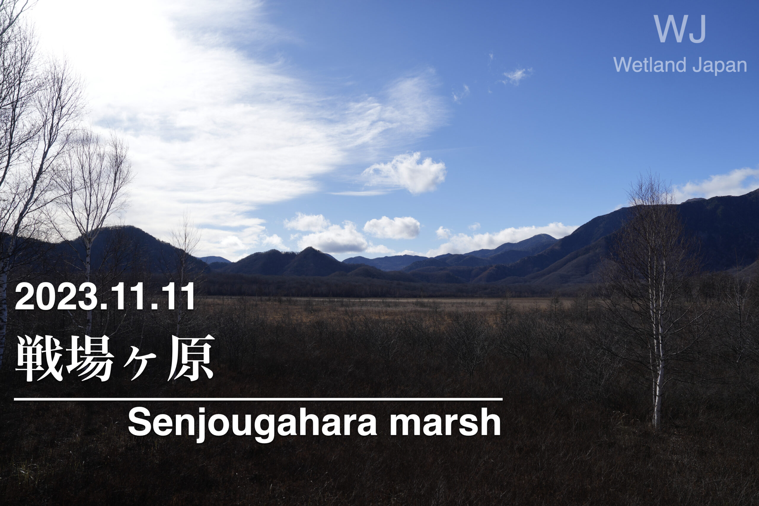 2023.11.11 戦場ヶ原-ちょっと立ち寄り-