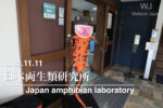 2023.11.11 日本両生類研究所