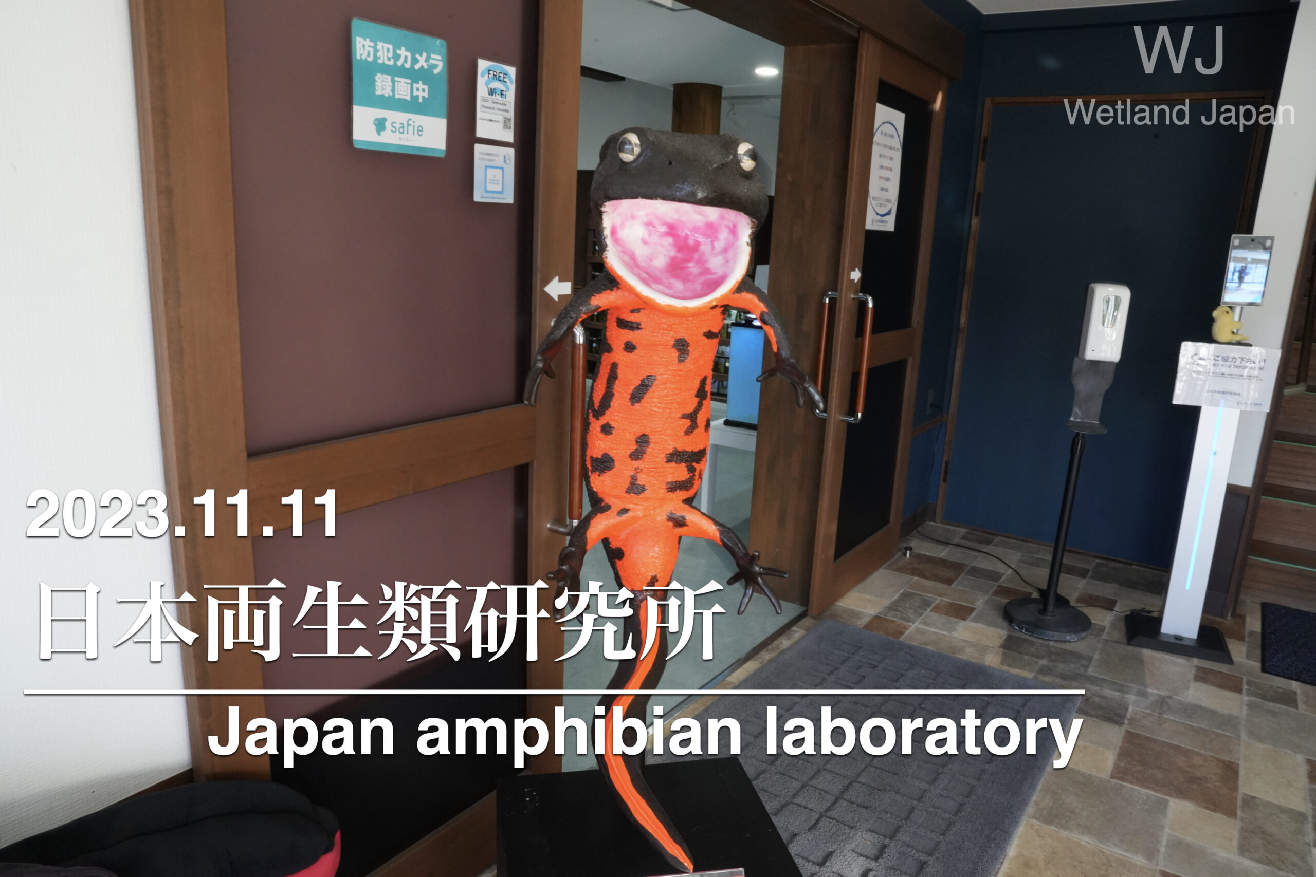 2023.11.11 日本両生類研究所