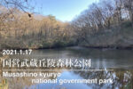 2011.1.17 国営武蔵丘陵森林公園(南部)