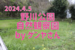 2024.4.5 野川公園自然観察園 by ゲンヤさん-市街地の湿地 野川周辺散策 春 -