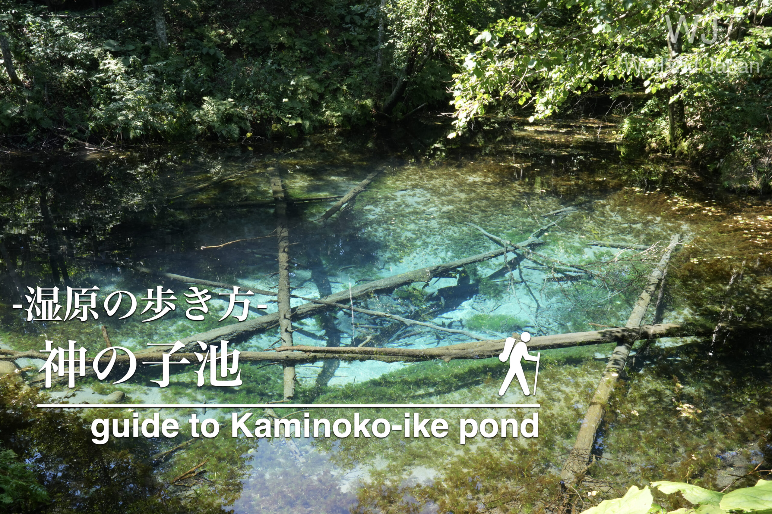 神秘の池 神の子池に行ってみよう!