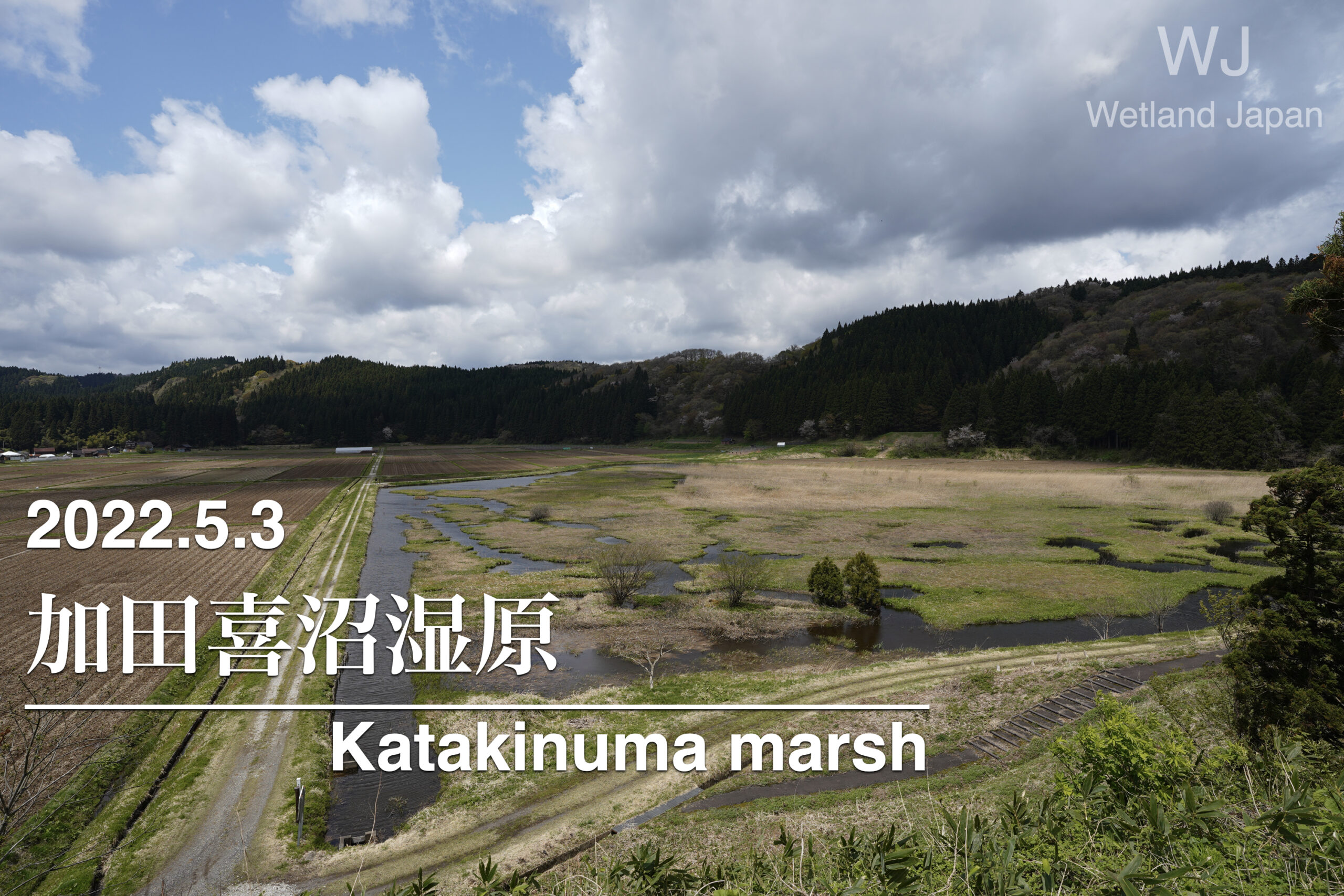 2022.5.3 加田喜沼湿原-春の訪れ-