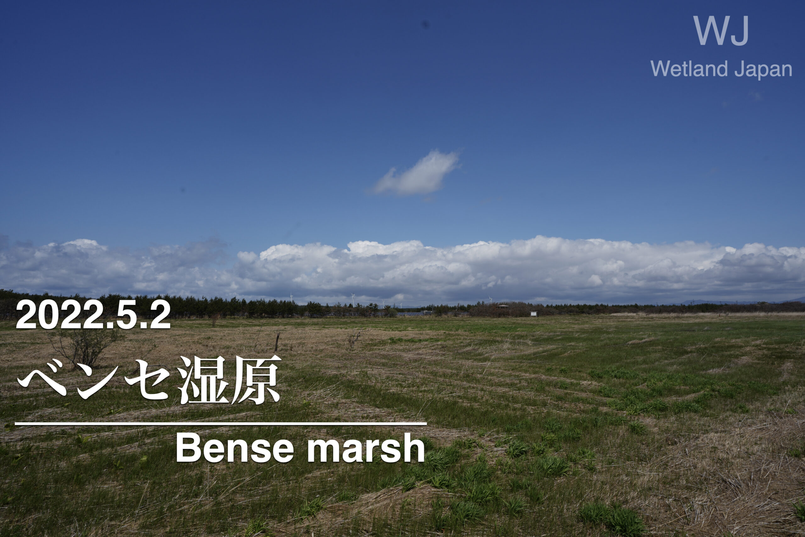 2022.5.2 ベンセ湿原-ミズバショウと岩木山-