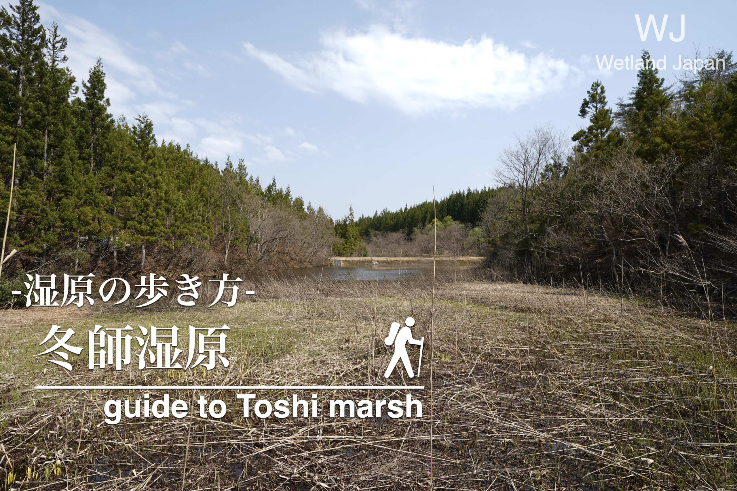 刈女木湿原に行ってみよう！