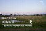 都沢湿地に行ってみよう！