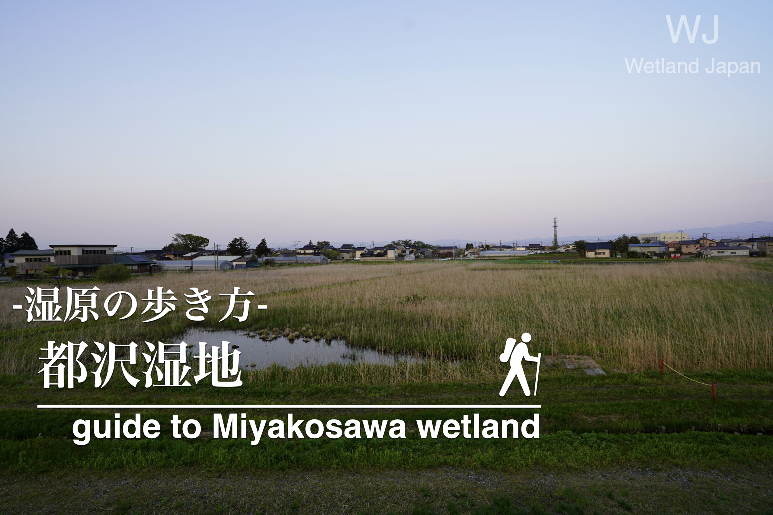 都沢湿地に行ってみよう!