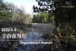2022.5.4 手倉森湿原