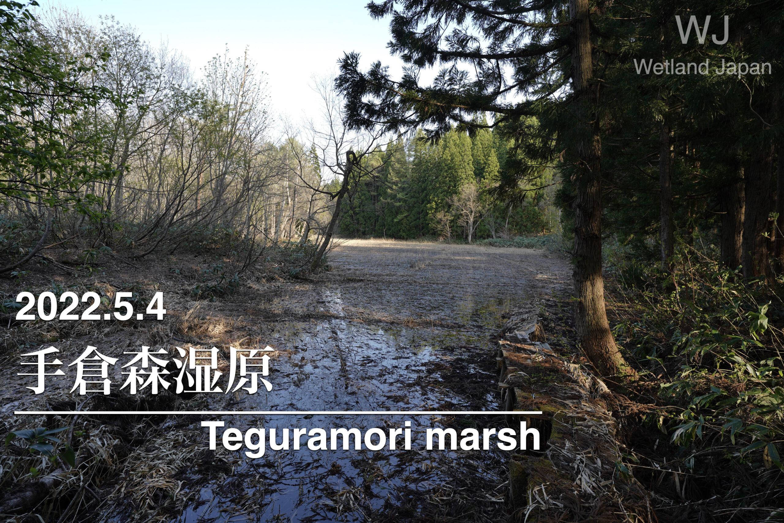 2022.5.4 手倉森湿原